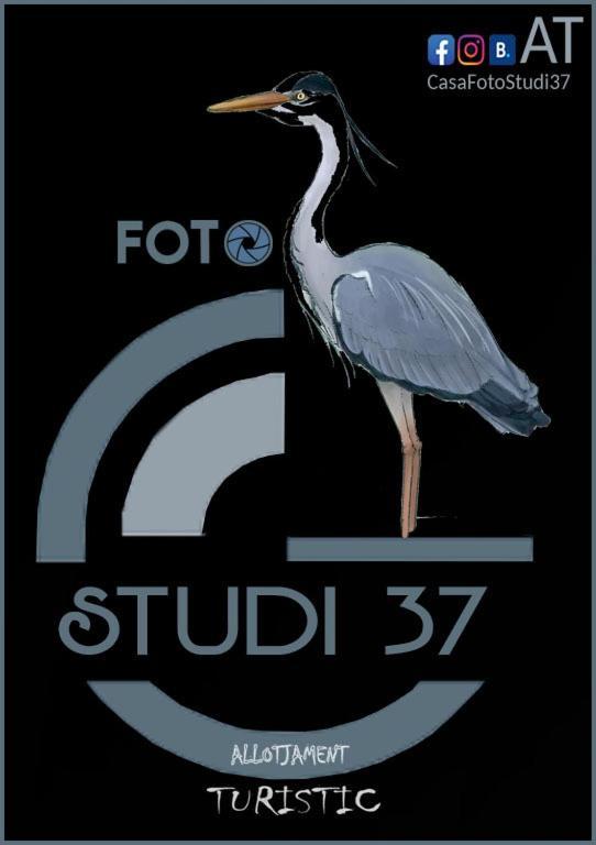 דירות דלטברה Casa Fotostudi37 מראה חיצוני תמונה